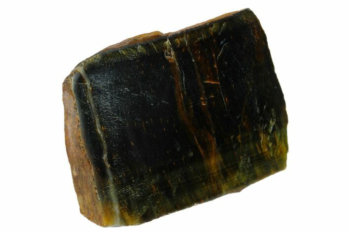 Polished Tiger's Eye Section - South Africa #148265